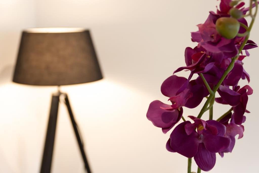 La Cambuse Topdestination-Bourg - Centre Ville - Classe 3 Etoiles Ngoại thất bức ảnh